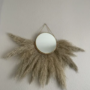 Ailes Sauvages